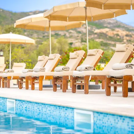Corsica & Hotel
