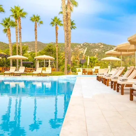 Hotel Corsica & Calvi (Corsica)