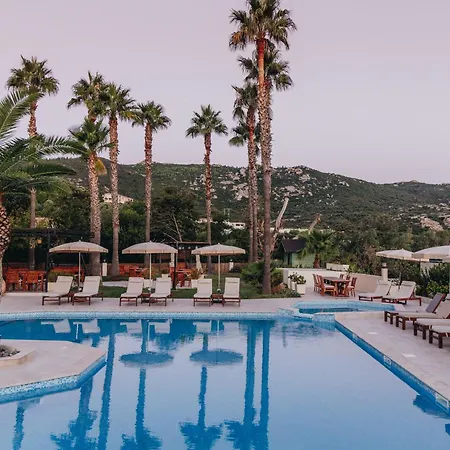 Corsica & Hotel