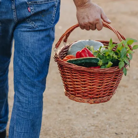 Hotell Corsica & Serena Calvi (Corsica)