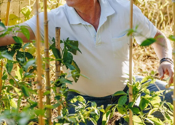 Hotel Corsica & Serena 5*