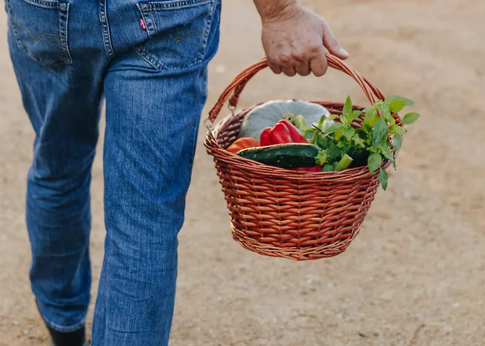 Hotel Corsica & Serena Calvi (Corsica)